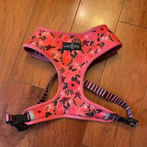 Lucy and Co Reversible Dog Harness